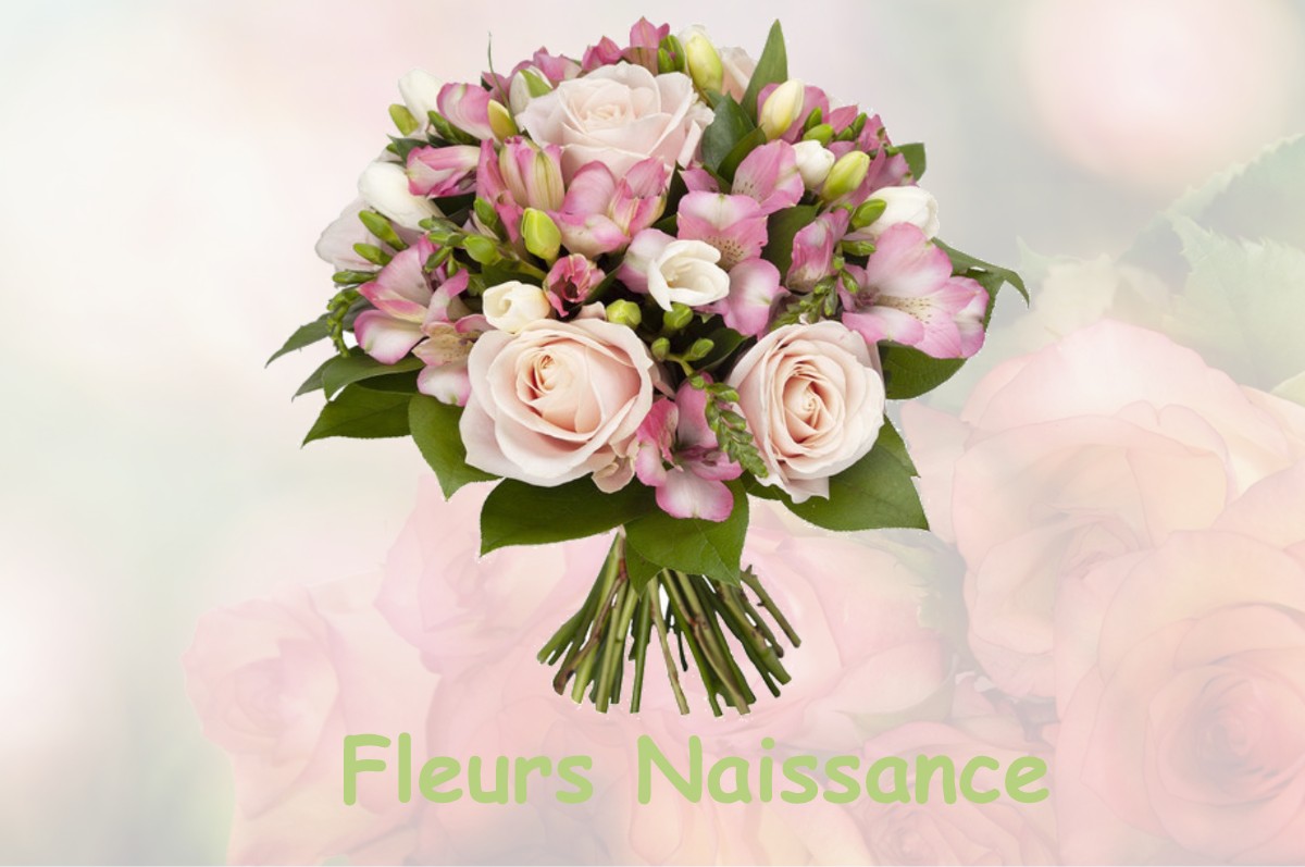 fleurs naissance CIVRAY-DE-TOURAINE
